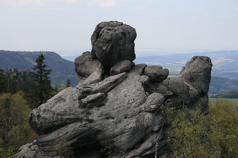 Original image